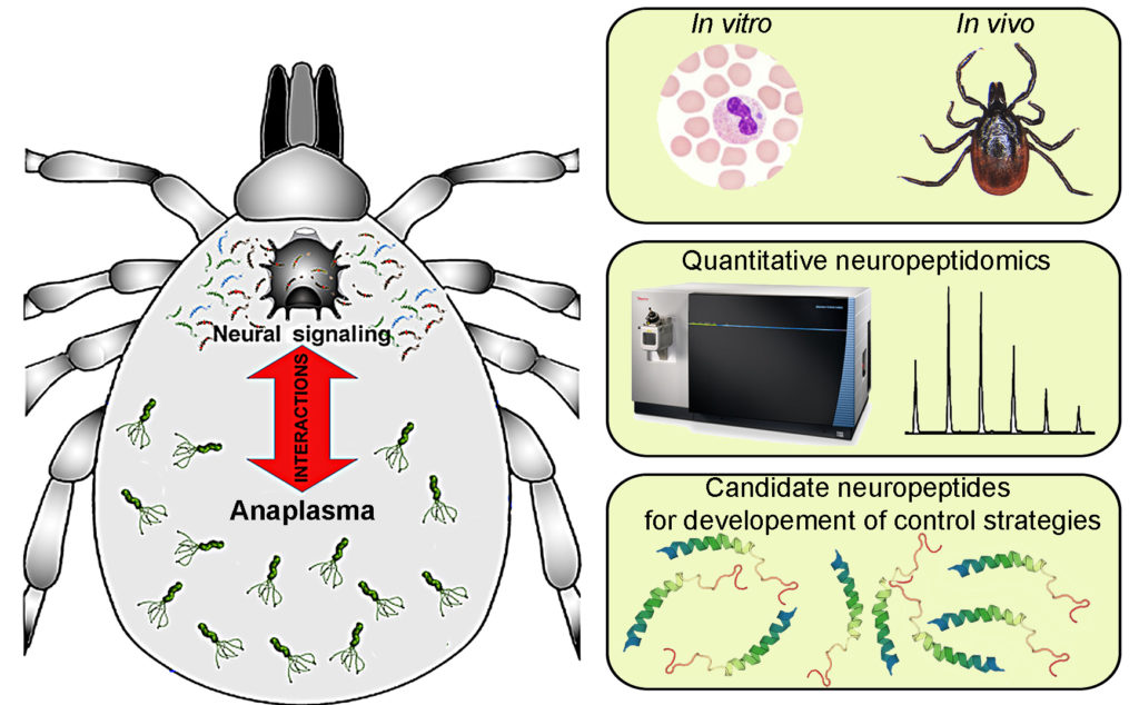 New NeuroPa Tick website