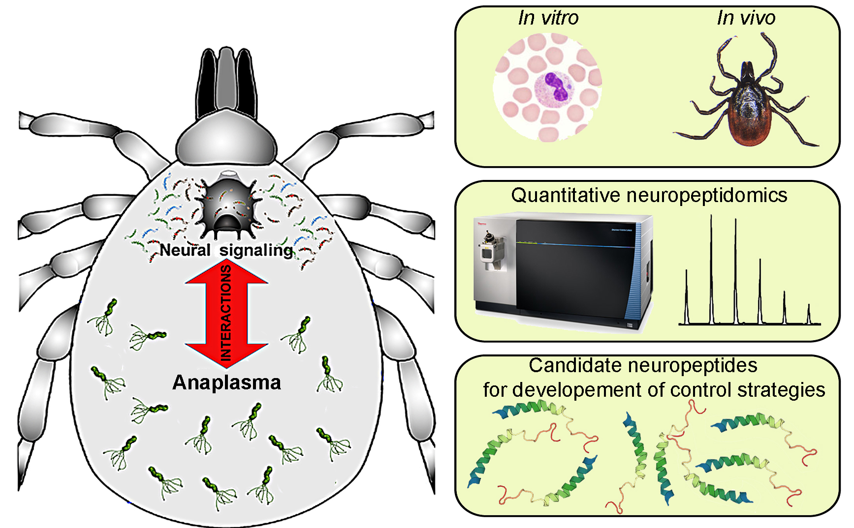 New NeuroPa Tick website